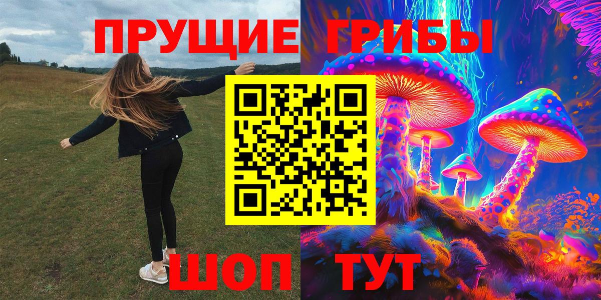 где можно купить наркотик  Галлюциногенные грибы GOLDEN TEACHER  Вход с VPN  Балашиха 